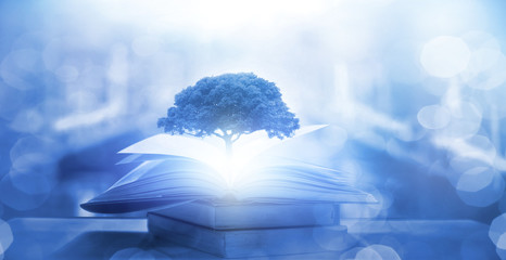 电信手机怎么查话费余额和流量