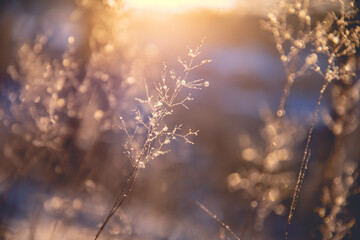 实测分享“功夫川麻将开挂神器下载”开挂(透视)辅助教程