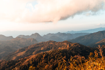 实测教程”海胆巨炮拼三张有挂吗”(原来确实是有挂)
