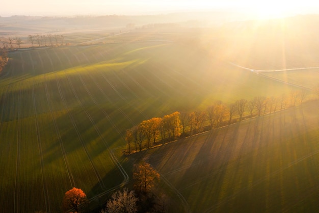 开挂辅助工具“科米台州麻将怎么开挂(透视)”详细开挂玩法